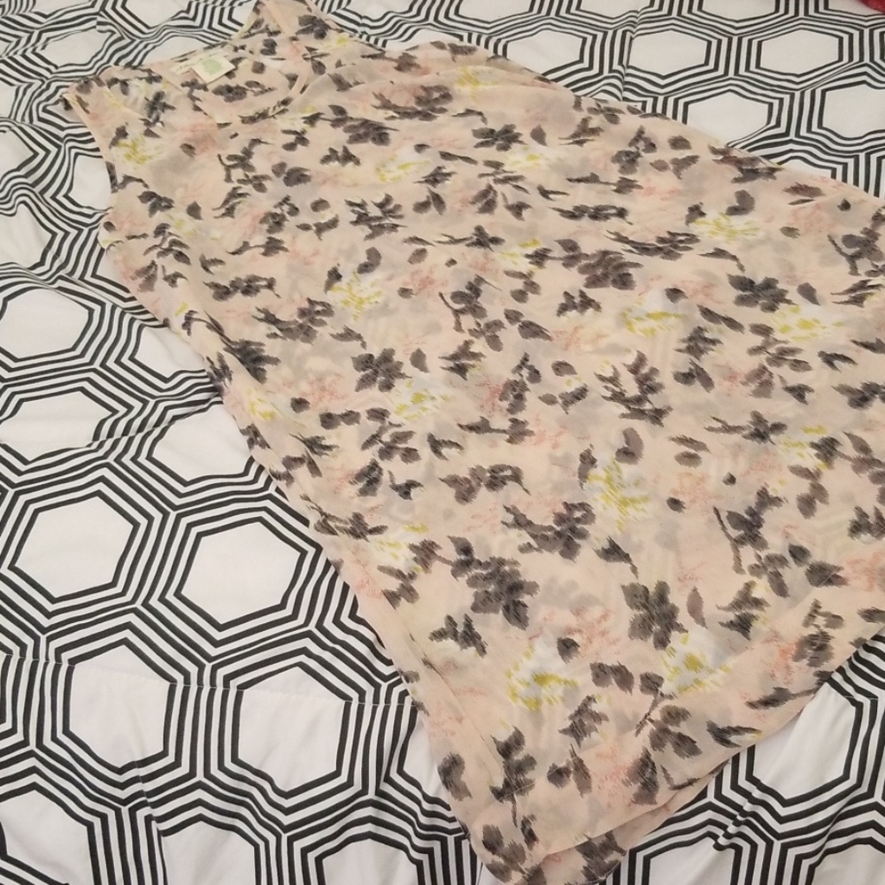 Staring at Stars Light Pink Sheer Dress